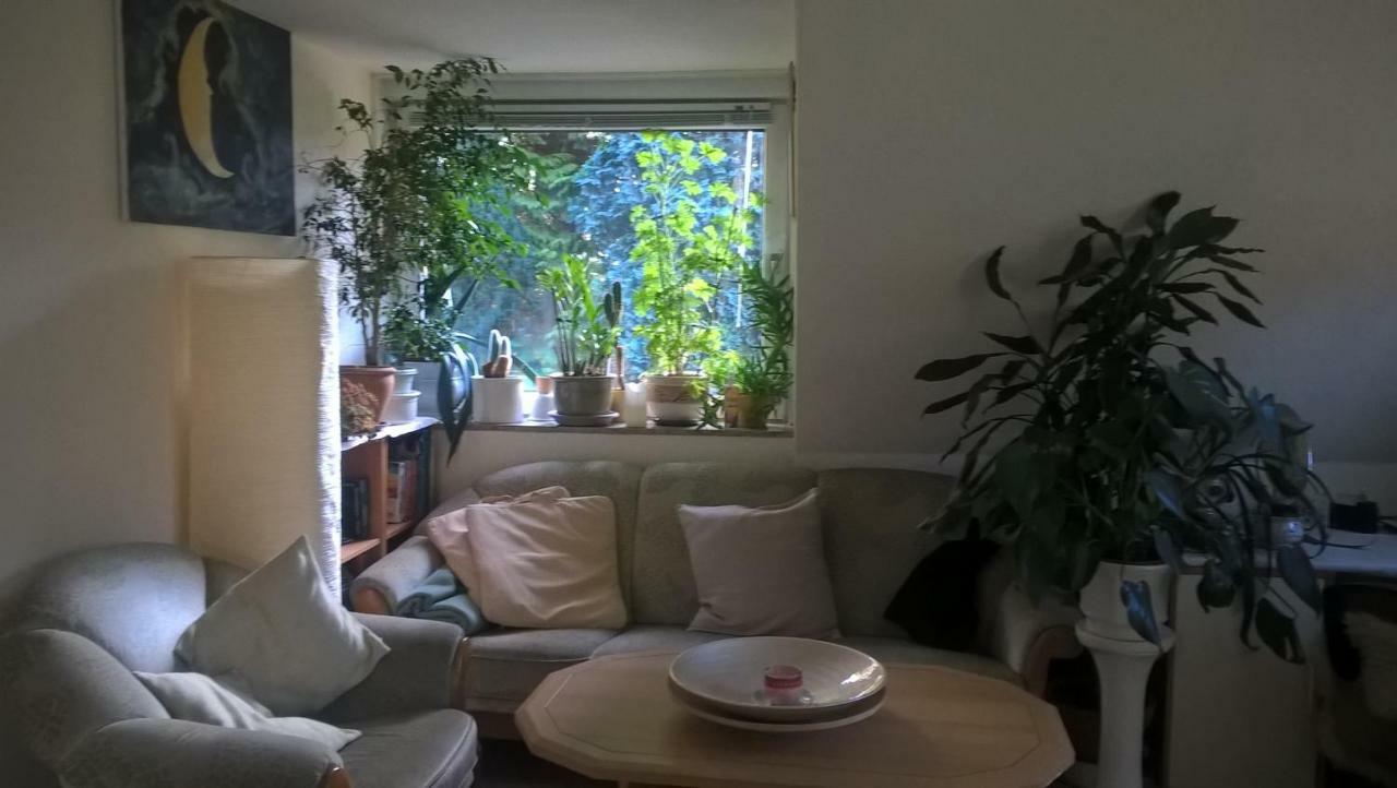 Gemuetl. Ferienwohnung Und Privatzimmer Hamborg Eksteriør billede